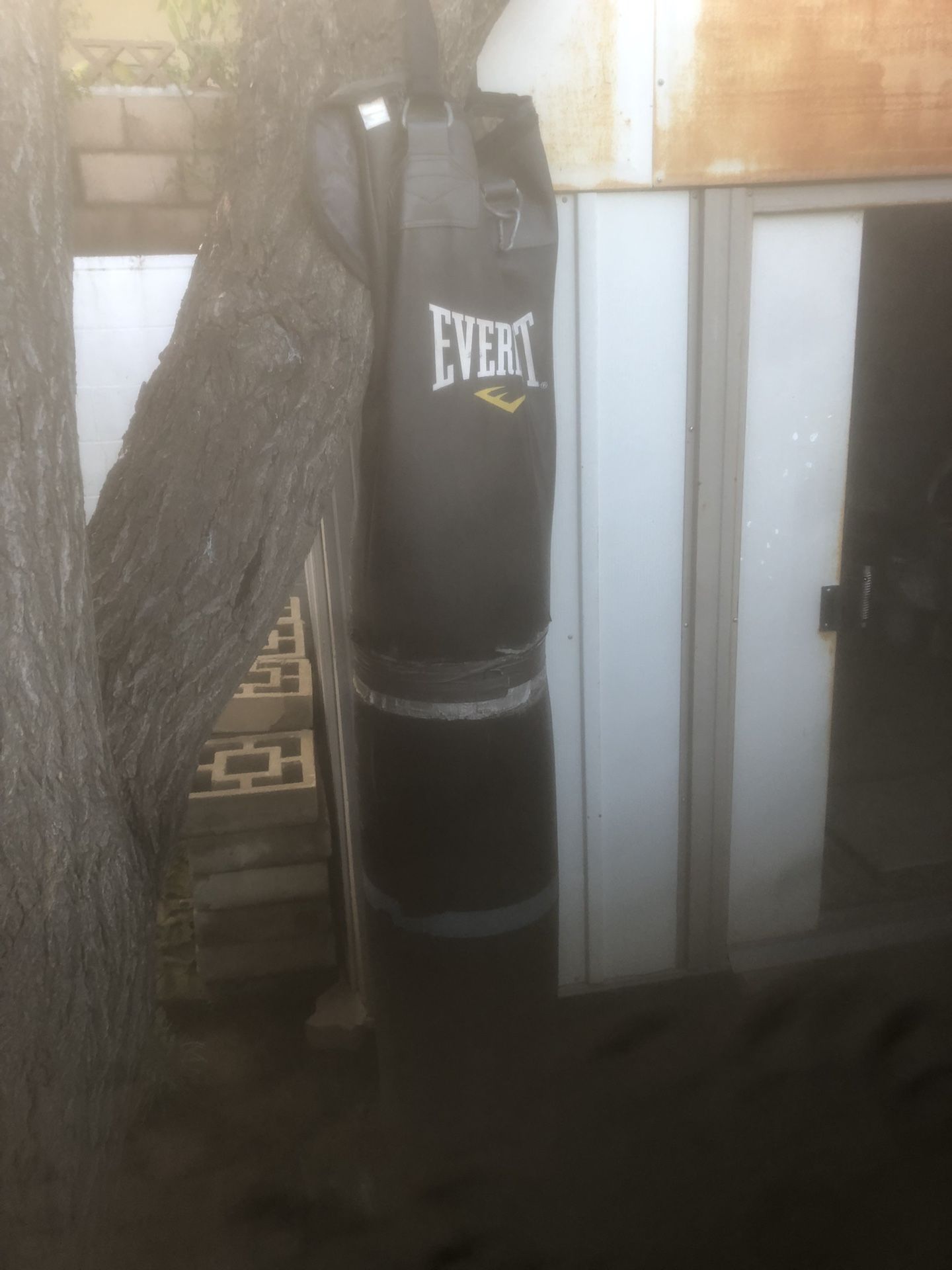 Everlast Punching Bag