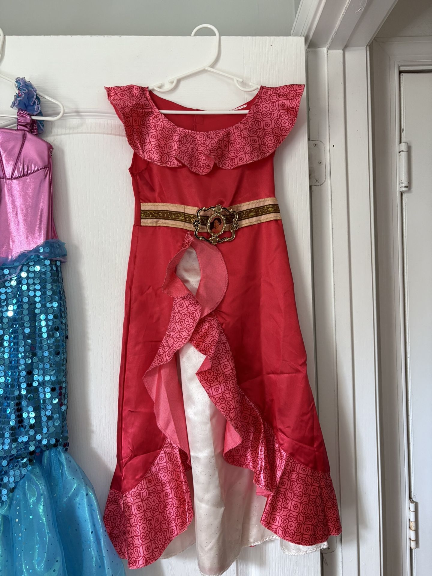 Disney Costume