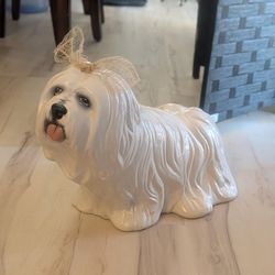 Italian Ceramic figure Maltese.White coat and black facial features