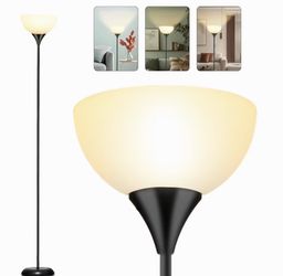 Modern Floor Lamp