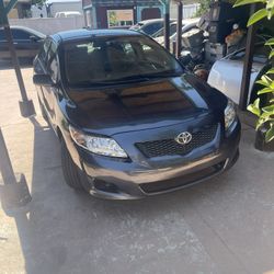 2010 Toyota Corolla