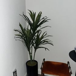 Fake Plant 
