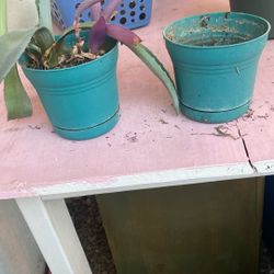 2 Matching Plastic Turquoise Small Garden Pots One With Agave And Purple Plant 5$ 