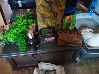 Reptile Terrarium Decor & Supplies Bundle - Exo Terra, Zoo Med