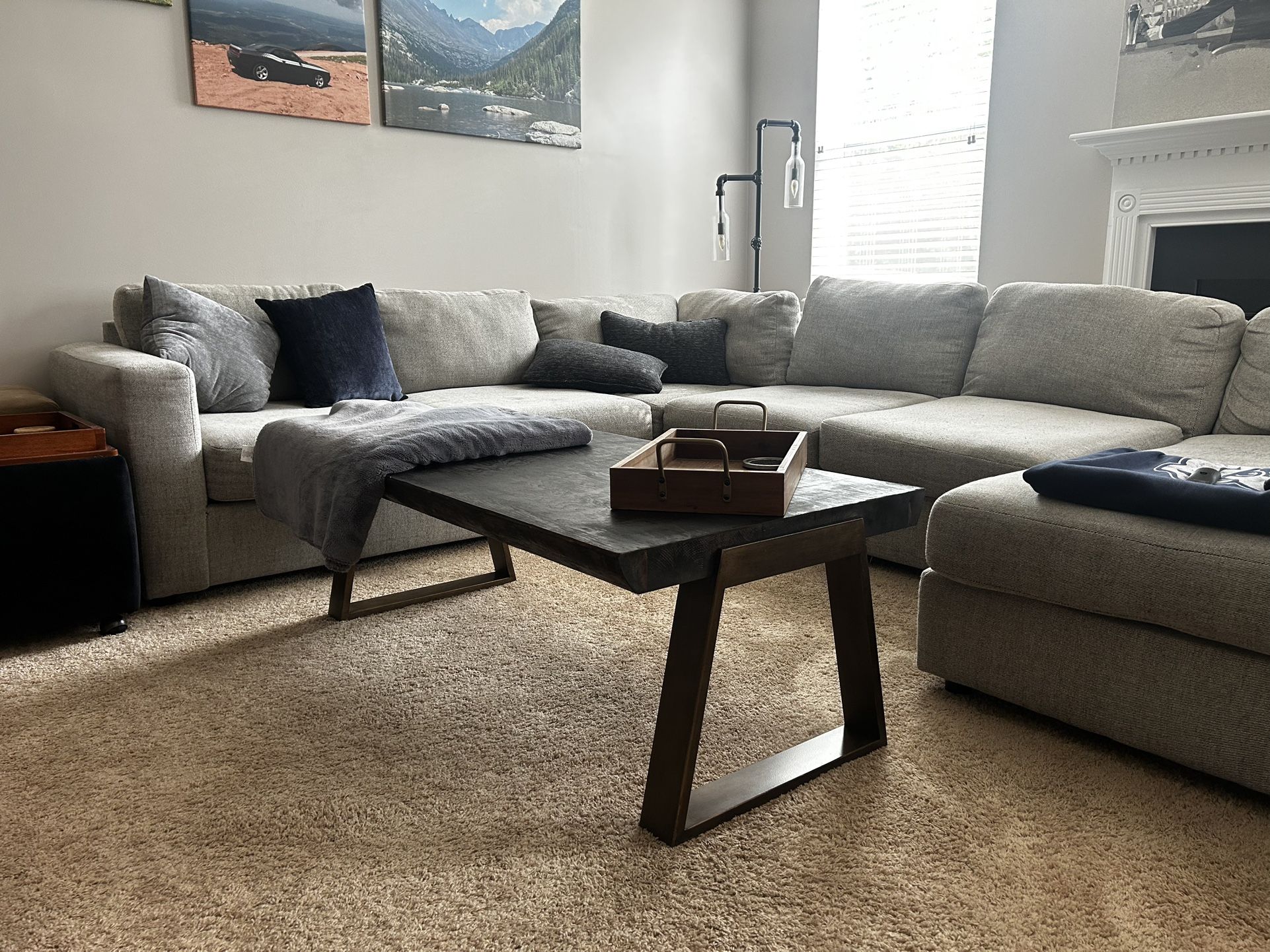 Coffee Table/ TV Stand