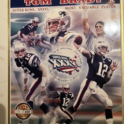 Tom Brady MVP Super Bowl Picture 