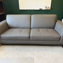 Gray Sofa Couch
