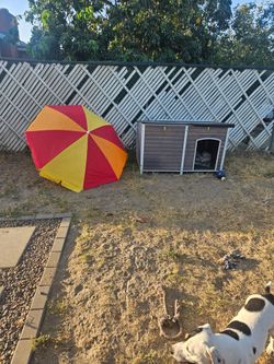 Large dog house