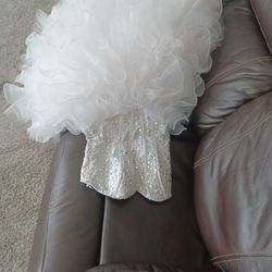 Quincianera Dress