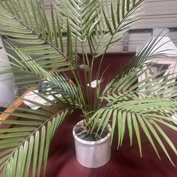 Fake Decor Plant 