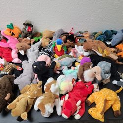 Ty Beanie babies