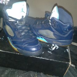 Jordan Grape 5's Used Only $60 Size 13 