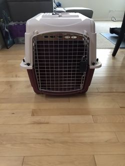 Petmate travel dog crate