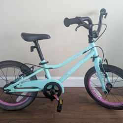 Kid's Guardian Bike $125