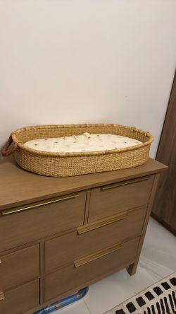 Design Dua Changing Basket