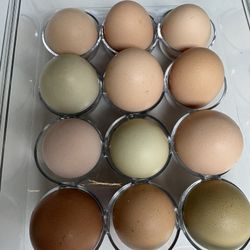 Farm Fresh Eggs