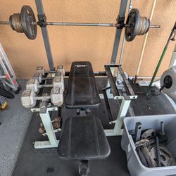 Weight Bench With Dumbells, Straight And Curl Bar