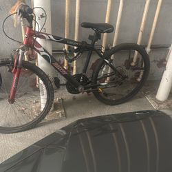 Rallye Mountain Bike – $30