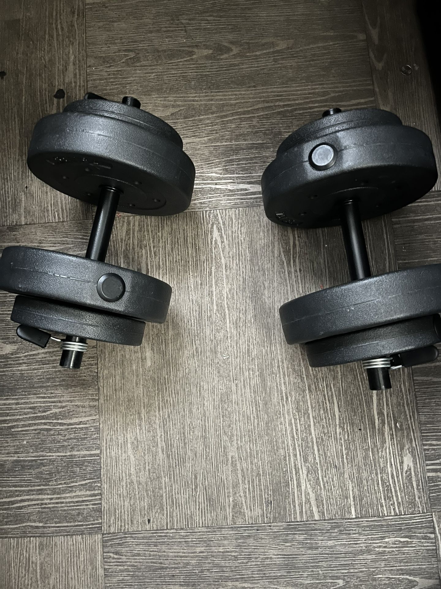 2 20 Pound Dumbbells