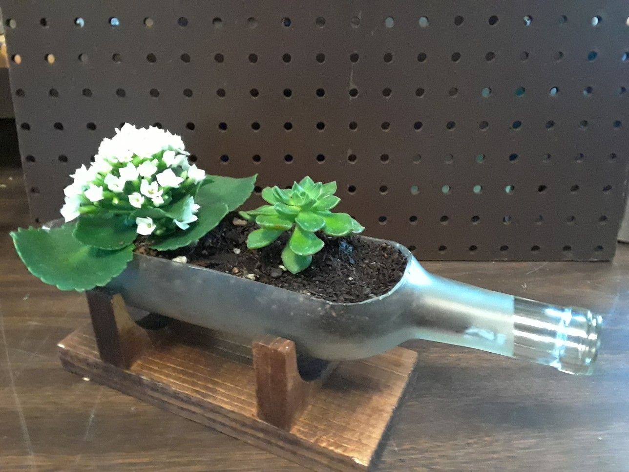 Hand Cut Wine Bottle Terrarium on handmade wood stand