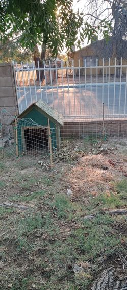 Dog house & Dog fence