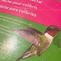 Hummingbird And Tools 