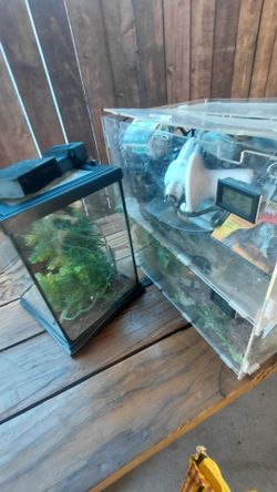 Reptile enclosure