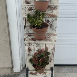 Plant Stand With Plants