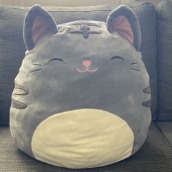 Squishmallows Grey Cat 15”