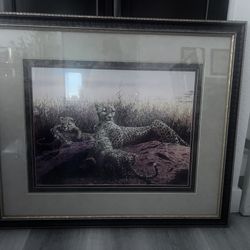 Leopard Picture 