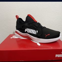 Pumas New