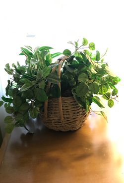 Silk plant in a decorative basket