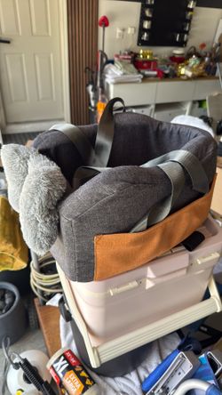 Dog car seat