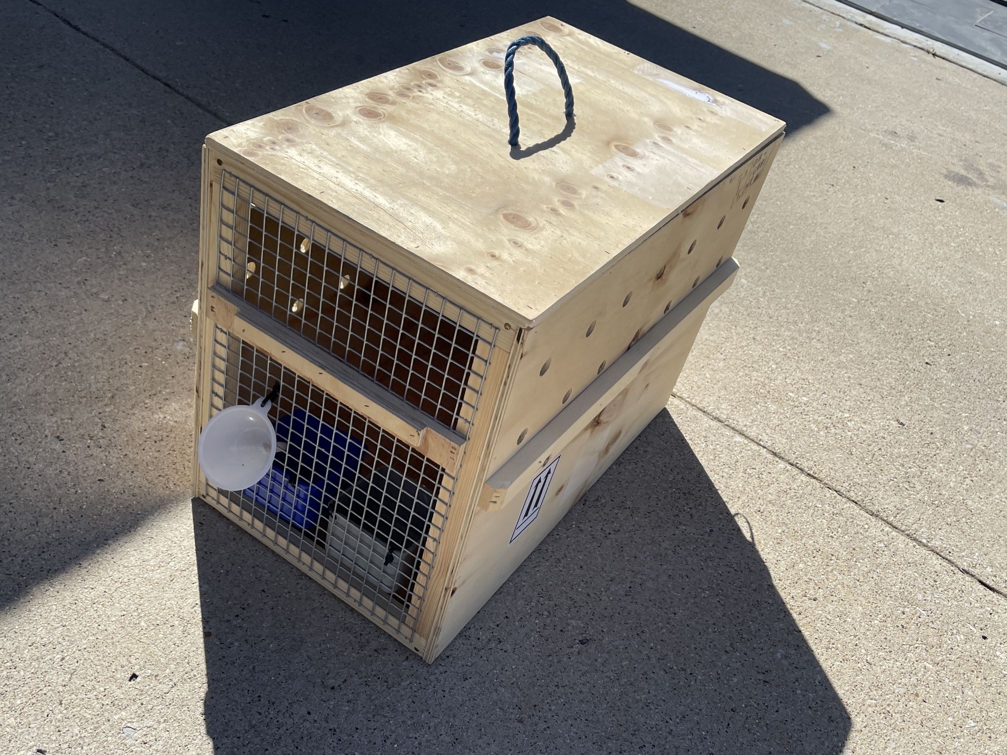 Dog  Wood Crate