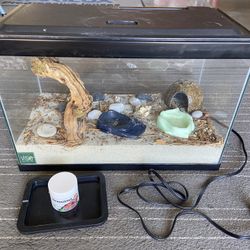 Hermit Crab / Fish Tank 10 Gallons