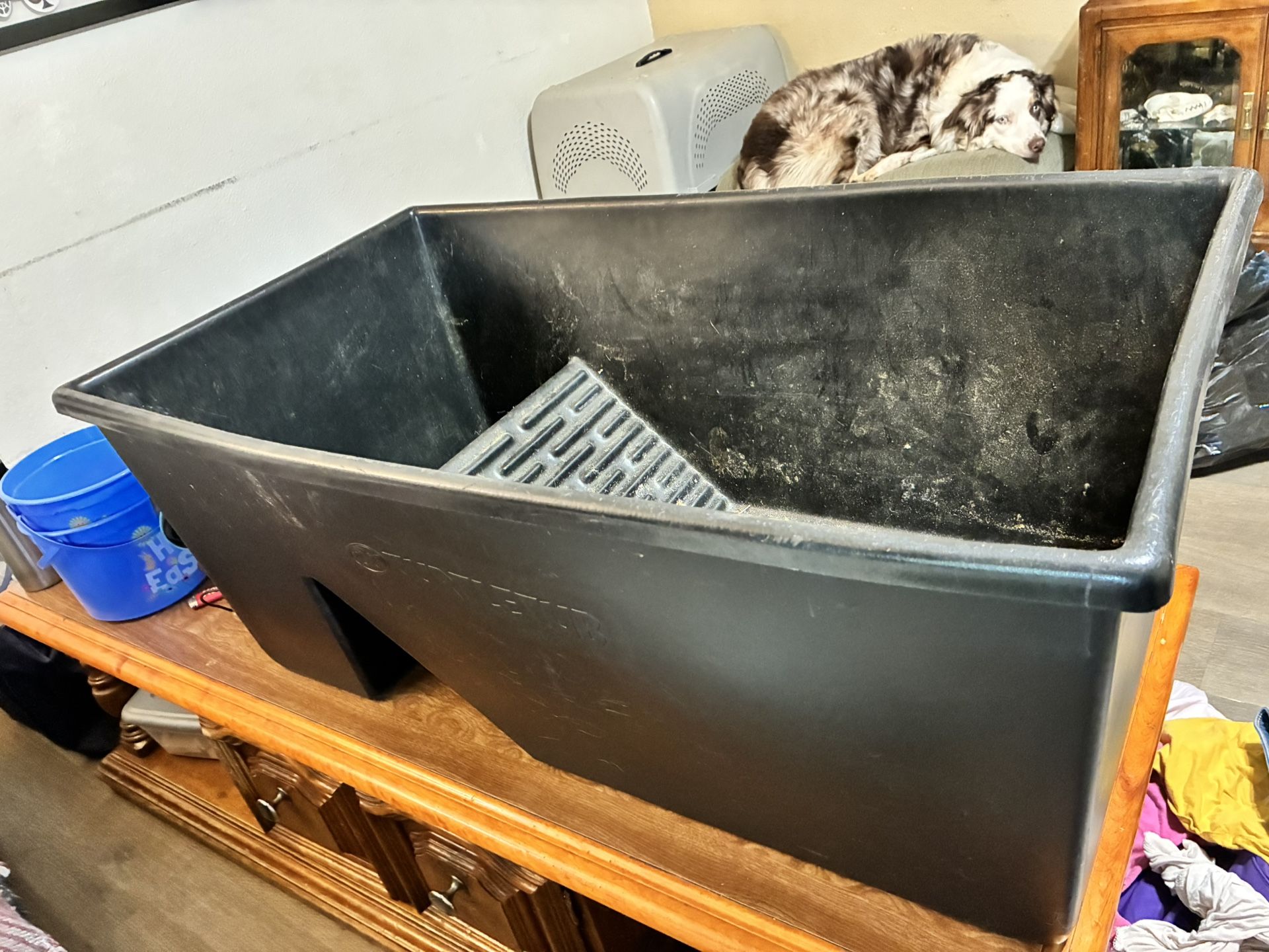 Zoomed Turtle Tub