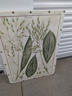 LG Natural Looking Canvas Painting Of Greenery