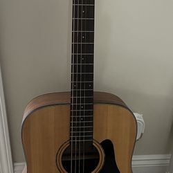 Alvarez Guitar 