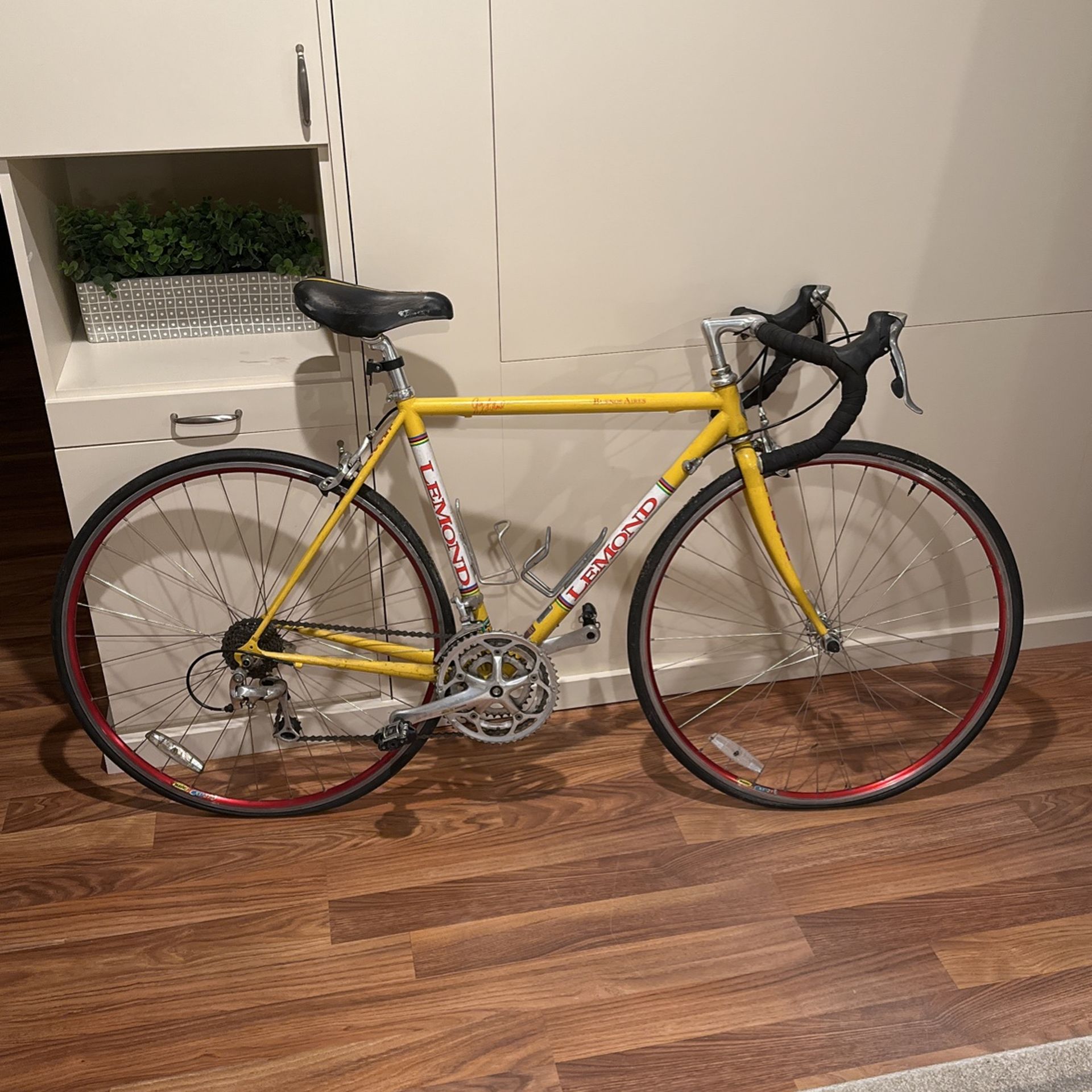 Vintage Greg Lemond Road Bike Good Condition