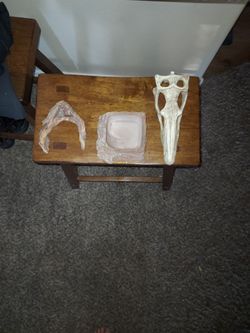 Lizard Habitat Decor