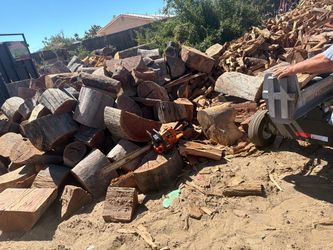 Large Lot of Cut Firewood Logs
