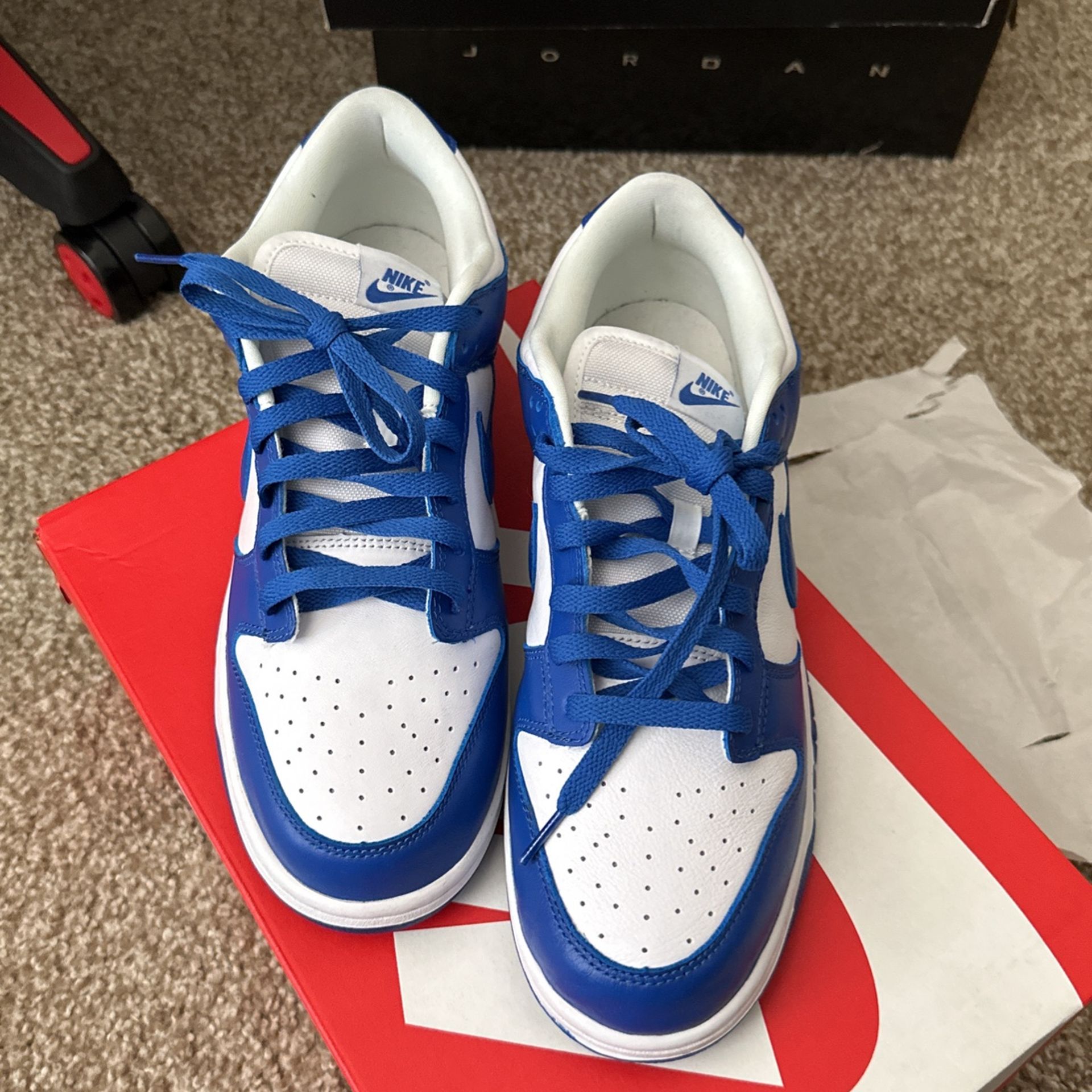 Dunk Low Kentucky 