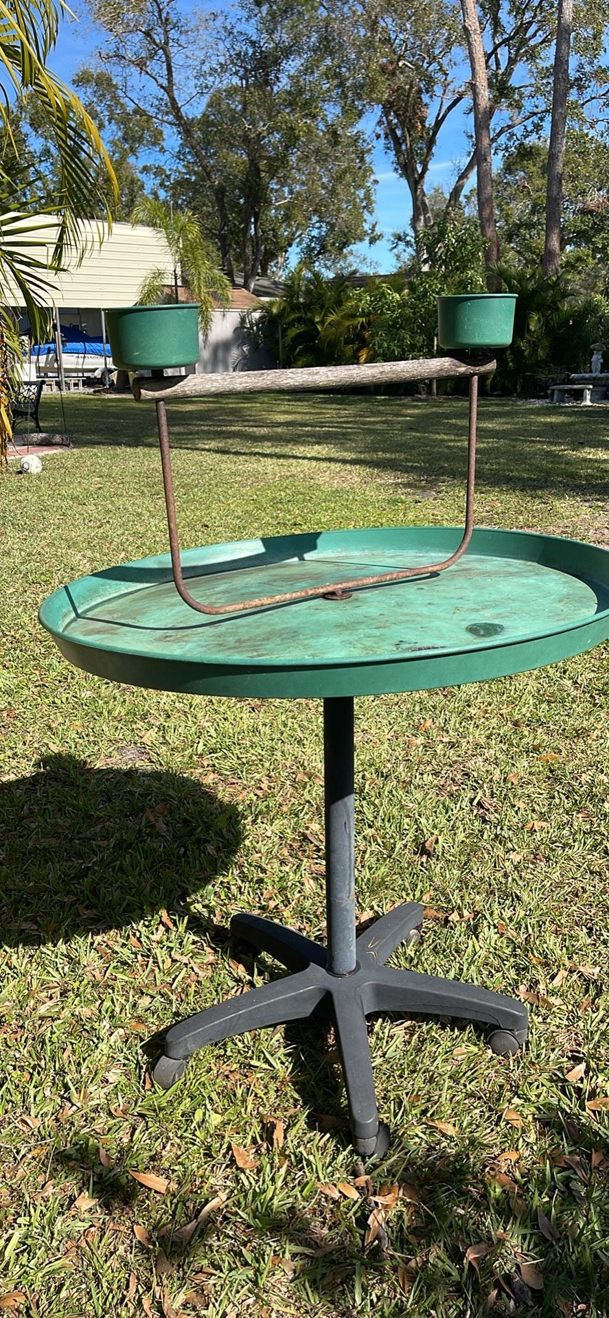 Bird Tray With Stand