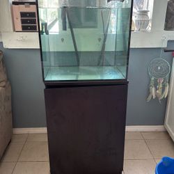 Fish Tank 