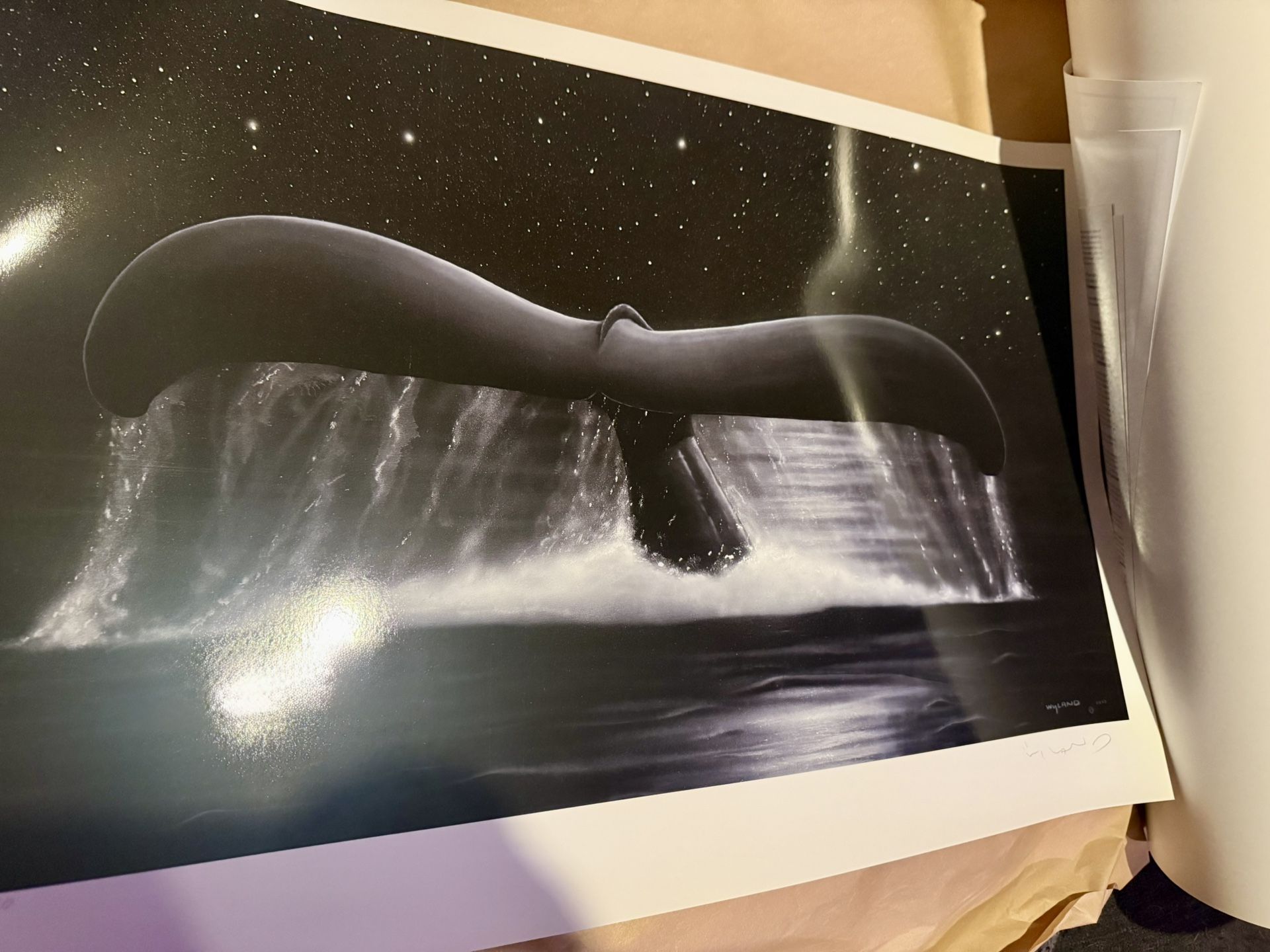 “Sea Of Stars” Numbered signed by Robert Wyland