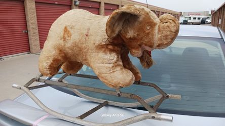 Rocking Elephant 