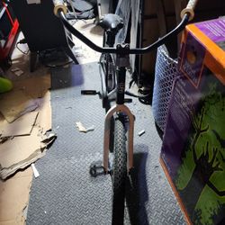 Shogun Belmar cruiser 