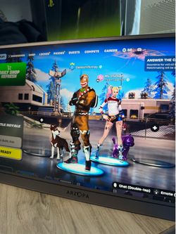 Portable gaming monitor