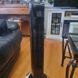 Plug In Fan
