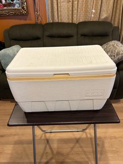 Ice chest